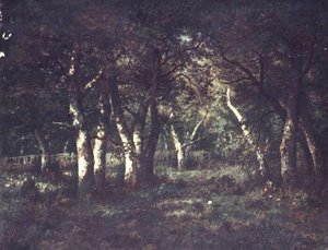 FORET DE FONTAINEBLEAU