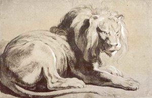 Etude Of Lion — Peter Paul Rubens