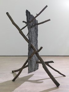 Lo Spazio Della Scultura — Giuseppe Penone