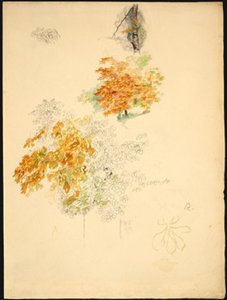 Studies Of Trees — Pierre-auguste Renoir, Impressionist Landscape