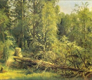 The Cut Down Tree — Ivan Ivanovich Shishkin, Realism