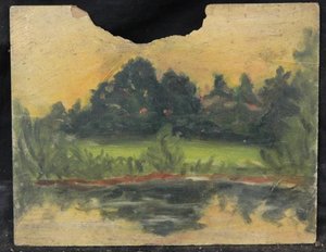 Végétation au bord d'un étang