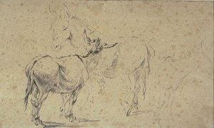 Two Studies Of Donkeys And Indication Of A Third — Nicolaes Pietersz Berchem