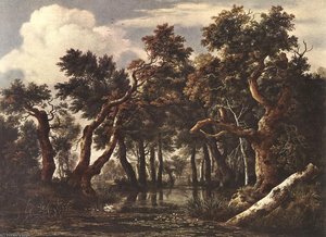 The Marsh In A Forest — Jacob Isaackszoon Van Ruisdael