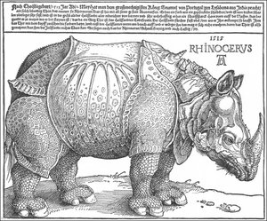 Rhinoceros — Albrecht Dürer