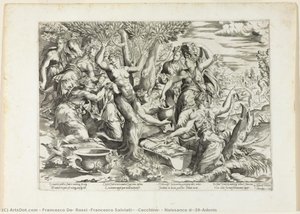 Naissance D'adonis — Francesco De Rossi (francesco Salviati) (cecchino)