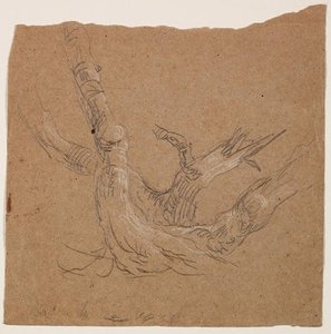 Tree Trunks — Thomas Cole