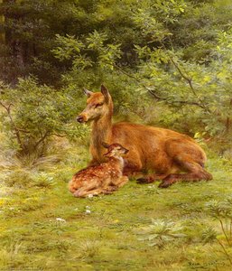 Doe And Fawn In A Thicket — Rosa Bonheur