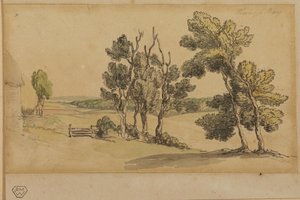 Landscape With Tree And Meadow — Thomas Rowlandson