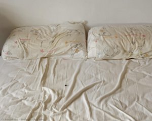 Bed Event — Elina Brotherus