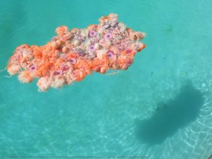 Liza Grobler, Working With Mohair, Spray Paint And Pool Tubes ( — Liza Grobler