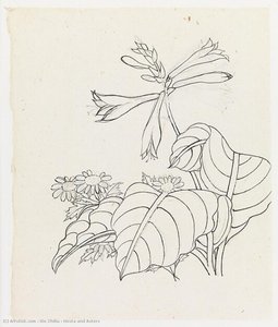 Hosta And Asters — Xie Zhiliu