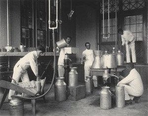 Agriculture Butter making