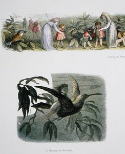 Dressing The Baby Elves, And A Messenger