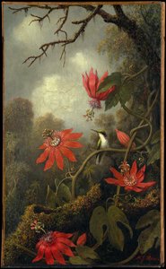Hummingbird And Passionflowers — Martin Johnson Heade, Luminist Landscape