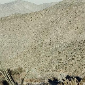 Untitled, (desert Scene With Cactus Foreground, Mountain Background) — Terry Husebye