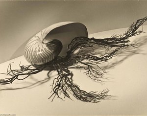 Castaways — Grace M Ballentine