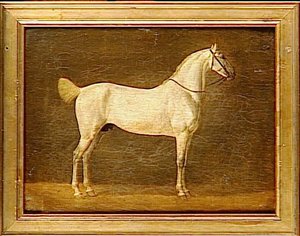 Cheval De Napoléon Ier Le Distingué — Martinet Pierre