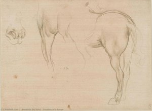 Studies Of A Horse — Leonardo Da Vinci, High Renaissance