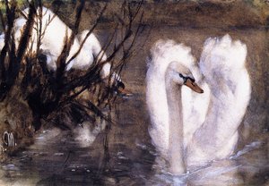 Two Swans — Adolph Von Menzel