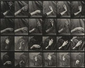 Movement of the Hand, Beating Time Plate 535 from Animal Locomotion