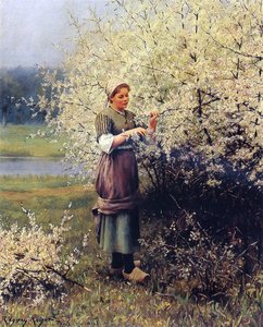 Daniel ridgeway spring blossoms