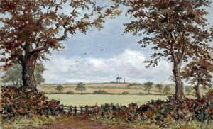 Willaston Mill, Wirral, 1909