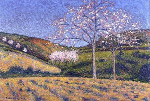 Amendiers En Fleurs — Achille Laugé