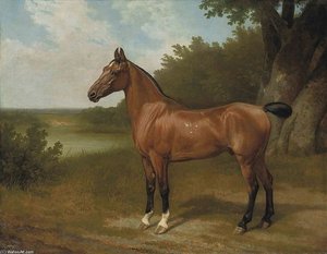Lord Bingley's Hunter In A Wooded River Landscape — Jacques Laurent Agasse