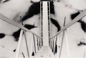 Untitled (white Ladder, Vie Down Towards Roof) — Burk Uzzle