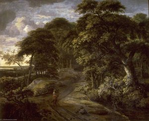 Entrance to a Forest