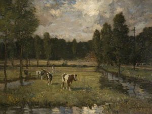 Suffolk Water Meadows