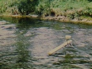 Filmrecording — Roman Signer
