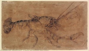 A Lobster With Unusually Large Scissors — Albrecht Dürer