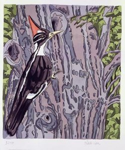 Pileated Woodpecker — Neil Gavin Welliver, Contemporary Realism