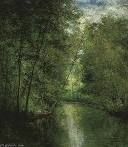 River In The Forest