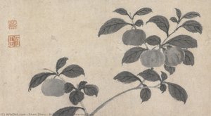 Branch of Fruit Bearing Tree