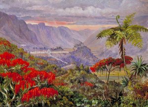 View Of The Jesuit College Of Caracas, Minas Geraes, Brazil — Marianne North