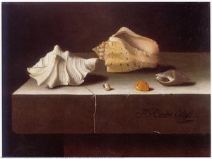 Two Large and Three Small Shells on a Slab of Stone