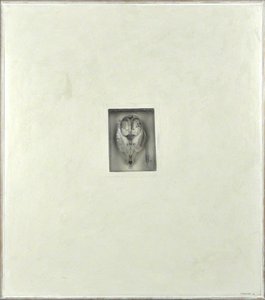 Museum Of Zoology – Skull Notes — Will Maclean