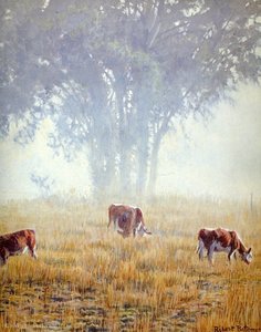 Untitled (337) — Robert Bateman