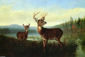 On The Alert — Arthur Fitzwilliam Tait