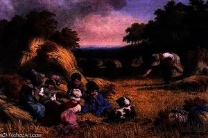 Harvest field