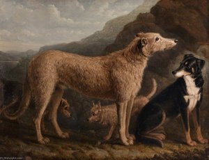 Four Dogs A Collie From Tweedale, A Scots Deerhound, An Otter Terrier And A Scots Terrier — William Shiels, Contemporary Realism