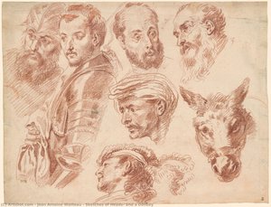Sketches Of Heads, And A Donkey — Jean-antoine Watteau, Rococo Style