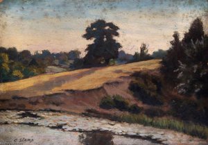 Viaduct Pond, Looking West, Hampstead, July