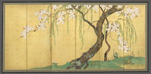 Cherry And Maple Trees — Sakai Hōitsu