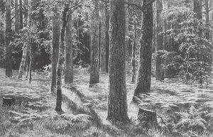 Ferns — Ivan Ivanovich Shishkin