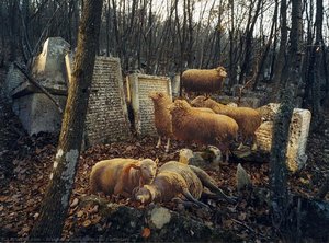 Karaim Cemetery — Arsen Savadov