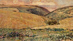 Near Selworthy Beacon — Malcolm Alastair Percy Ferguson